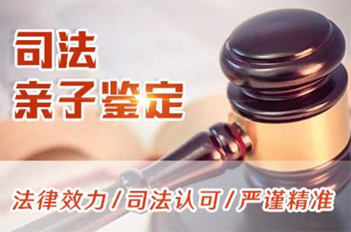 潮州司法DNA亲子鉴定的流程,潮州司法亲子鉴定哪里能做